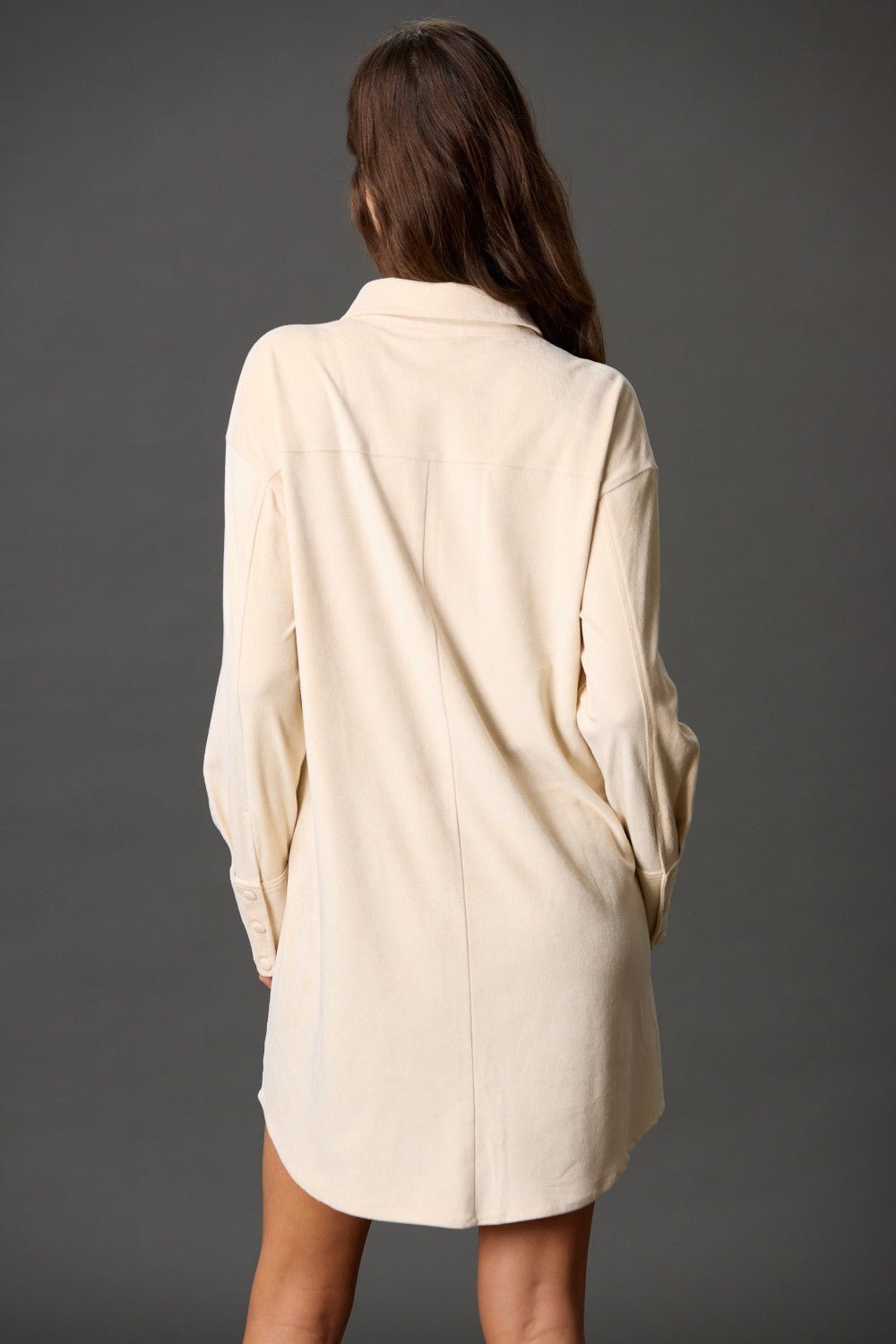 Suede Long Sleeve Dress - Wild Azalea Boutique