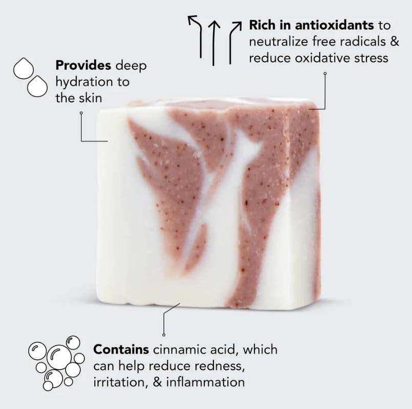 Kitsch Shea Butter Exfoliating Body Wash - Wild Azalea Boutique